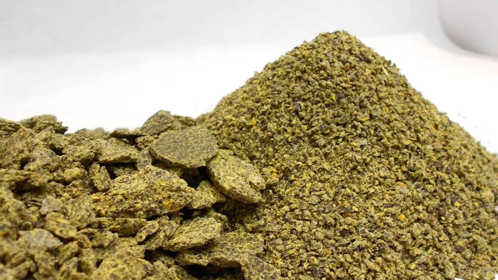Rapeseed Meal